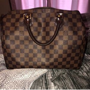 Louis Vuitton Damier Speedy 30 ✨